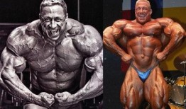 金城健美爆料最新消息,最新健身行业动态揭秘！